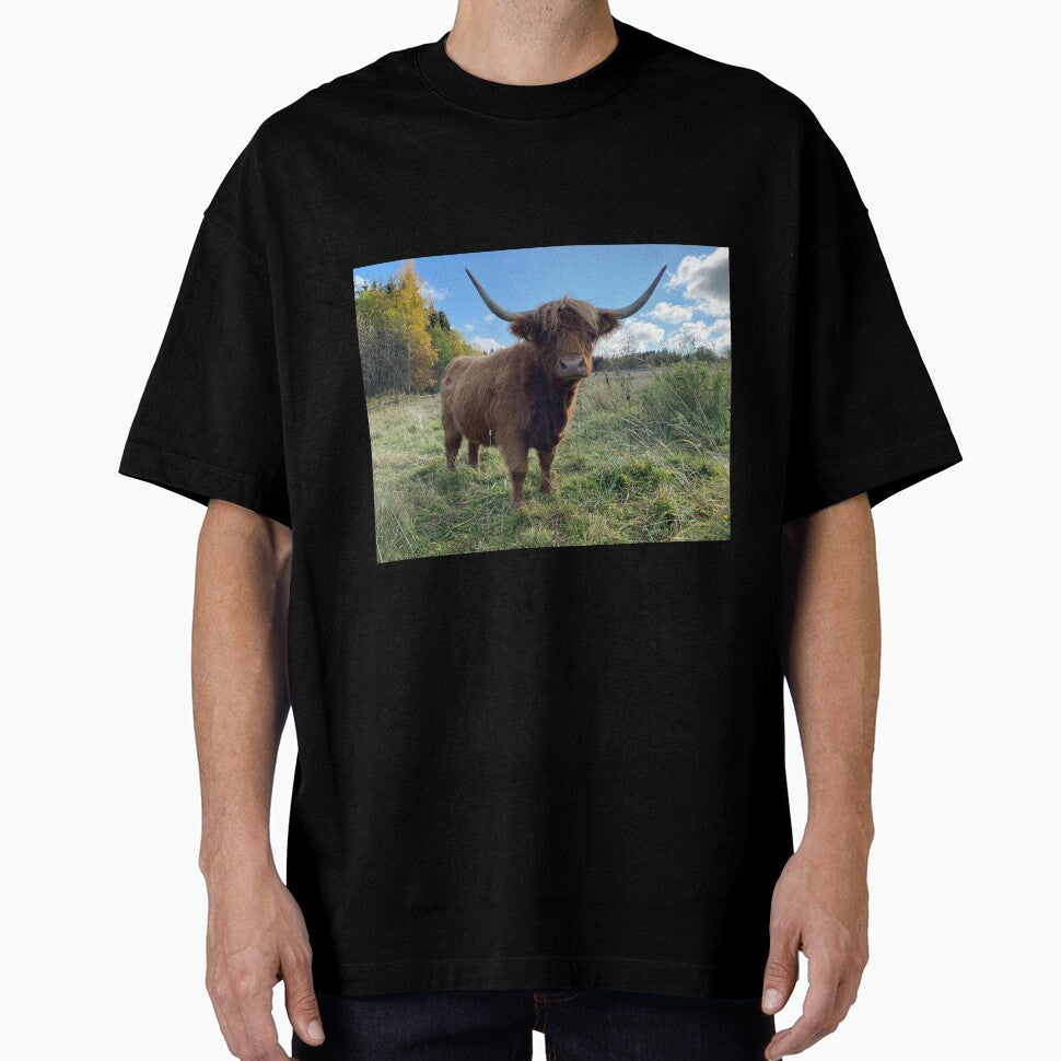 Scottish Highland Cattle Cow 2995 by SaarelaHighland
