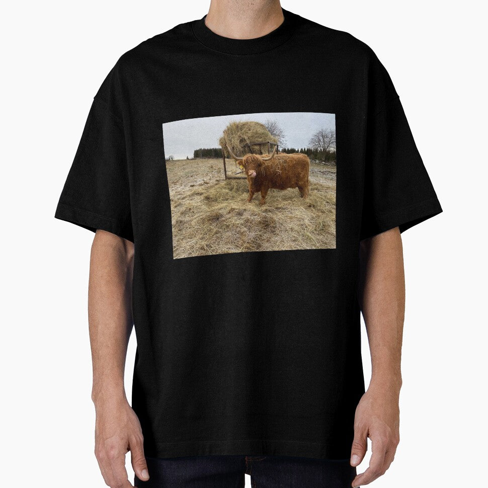 Scottish Highland Cattle Cow 3074 by SaarelaHighland
