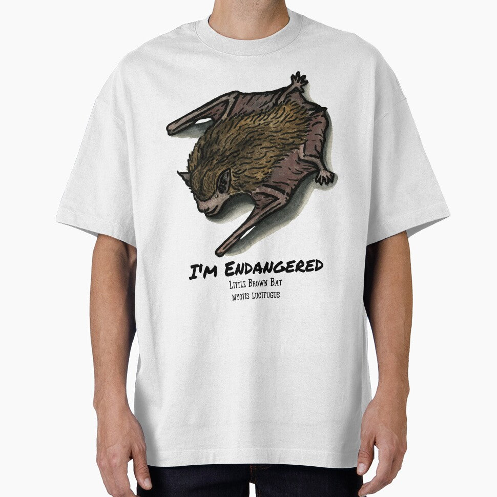 Little Brown Bat- I'm Endangered by Alexis Rodefer
