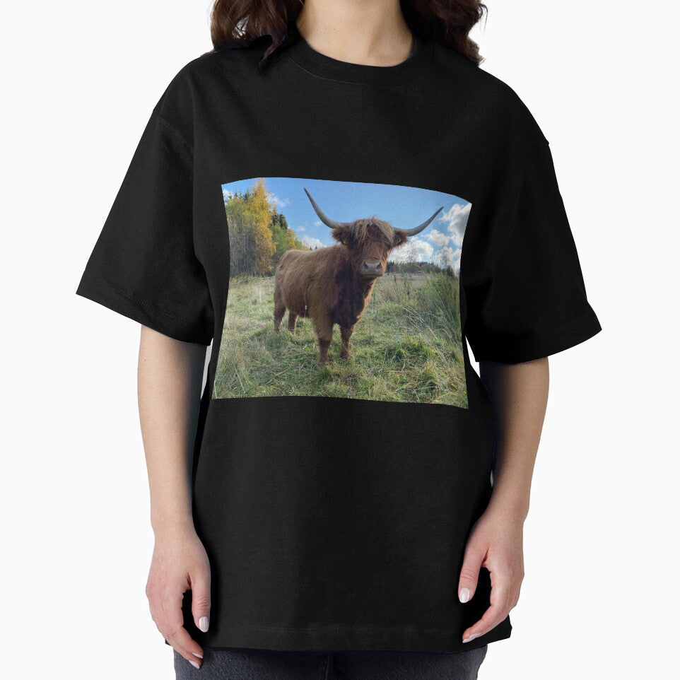 Scottish Highland Cattle Cow 2995 by SaarelaHighland