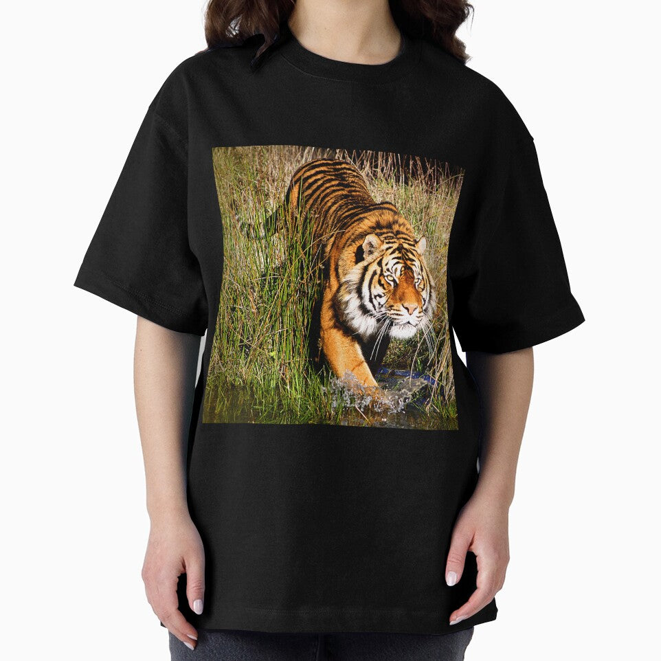 Sumatran Tiger (7) by Phil Le Cren