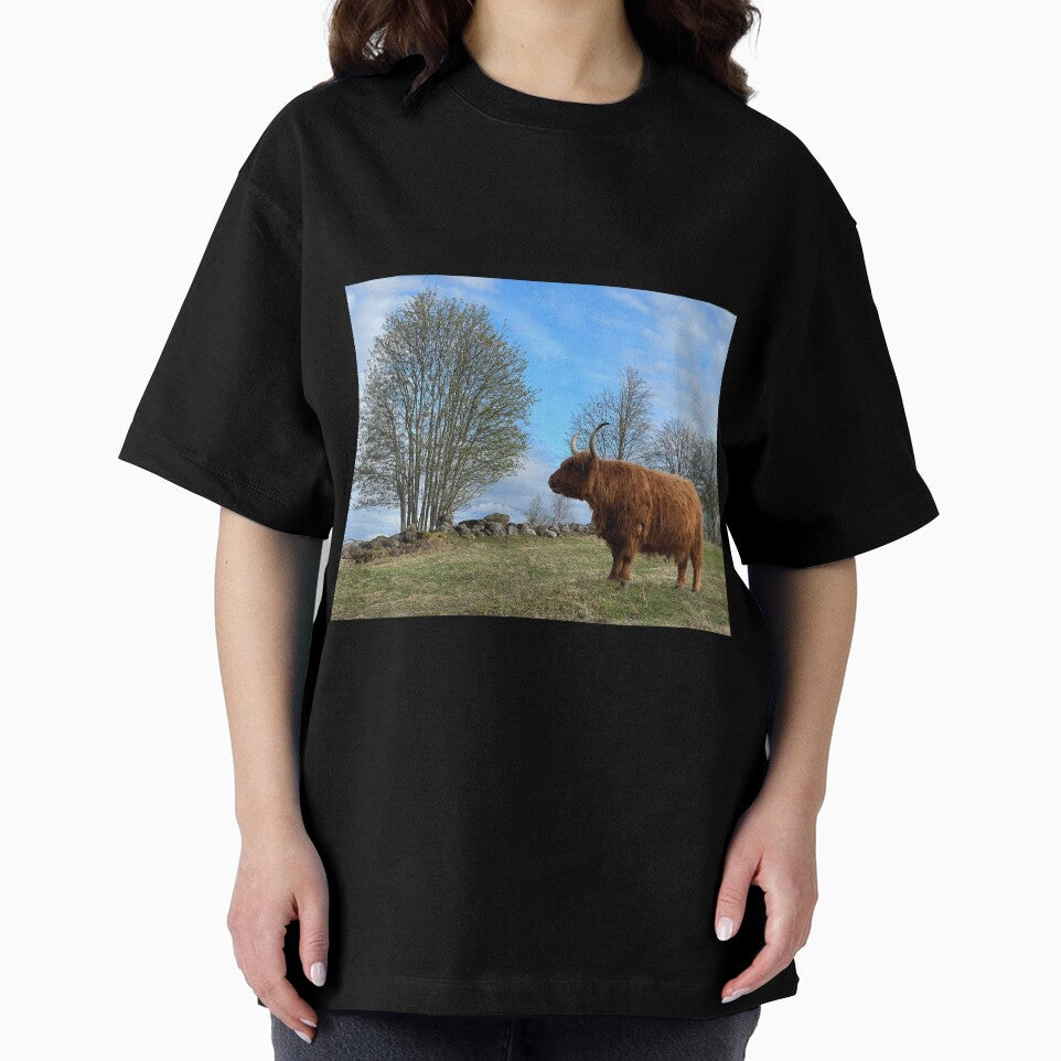 Scottish Highland Cattle Cow 3340 by SaarelaHighland
