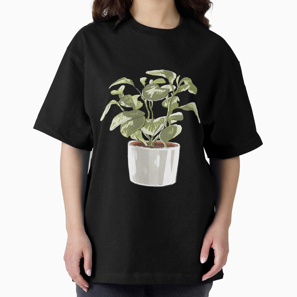 Potted Peperomia Plant by uyvcgmiqdyu38