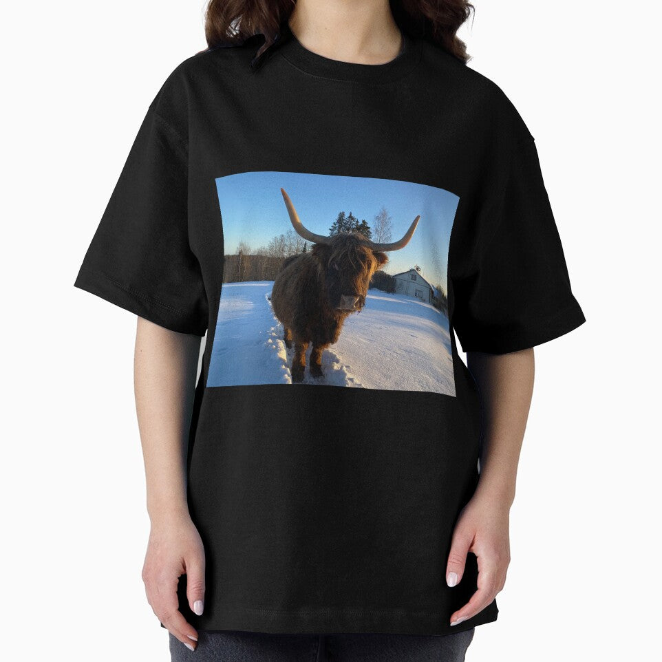 Scottish Highland Cattle Cow 3188 by SaarelaHighland