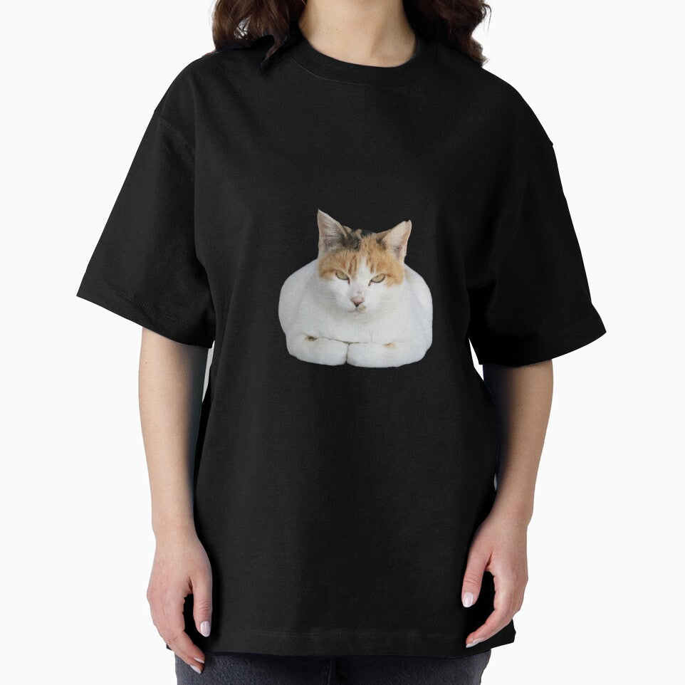 loaf mode cat by Agathepages