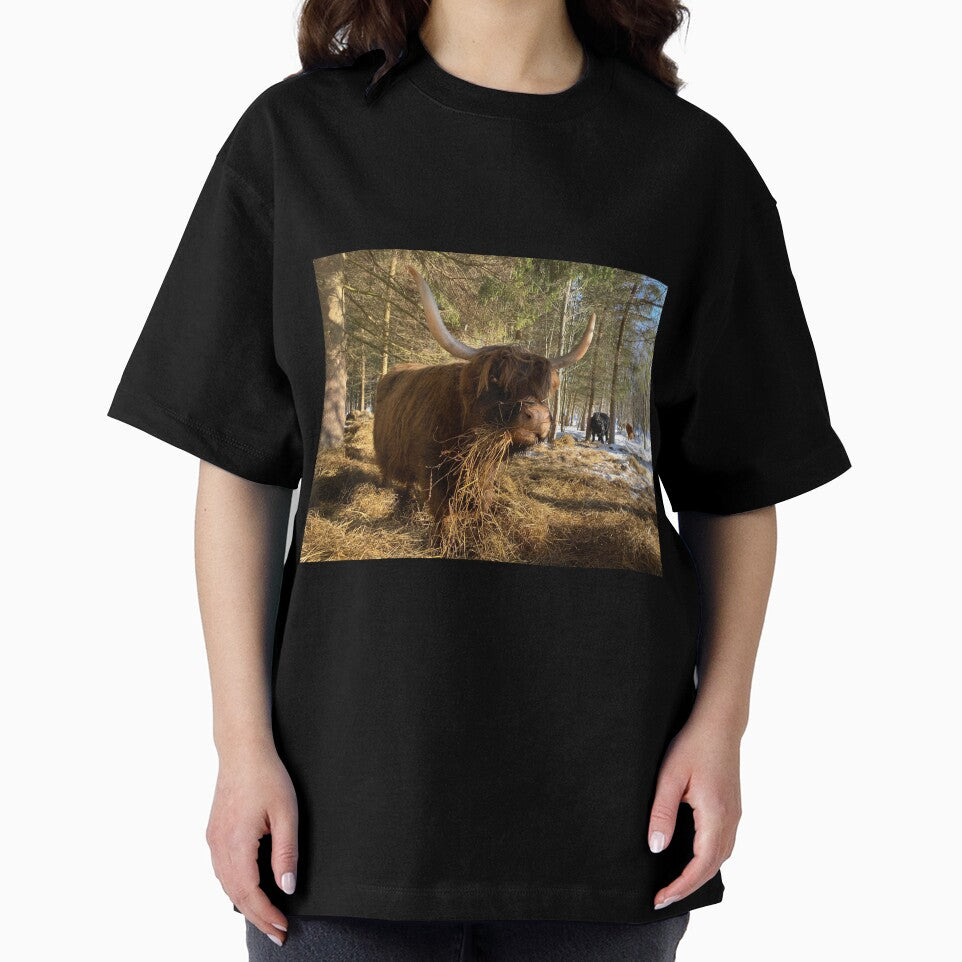 Scottish Highland Cattle Cow 3239 by SaarelaHighland