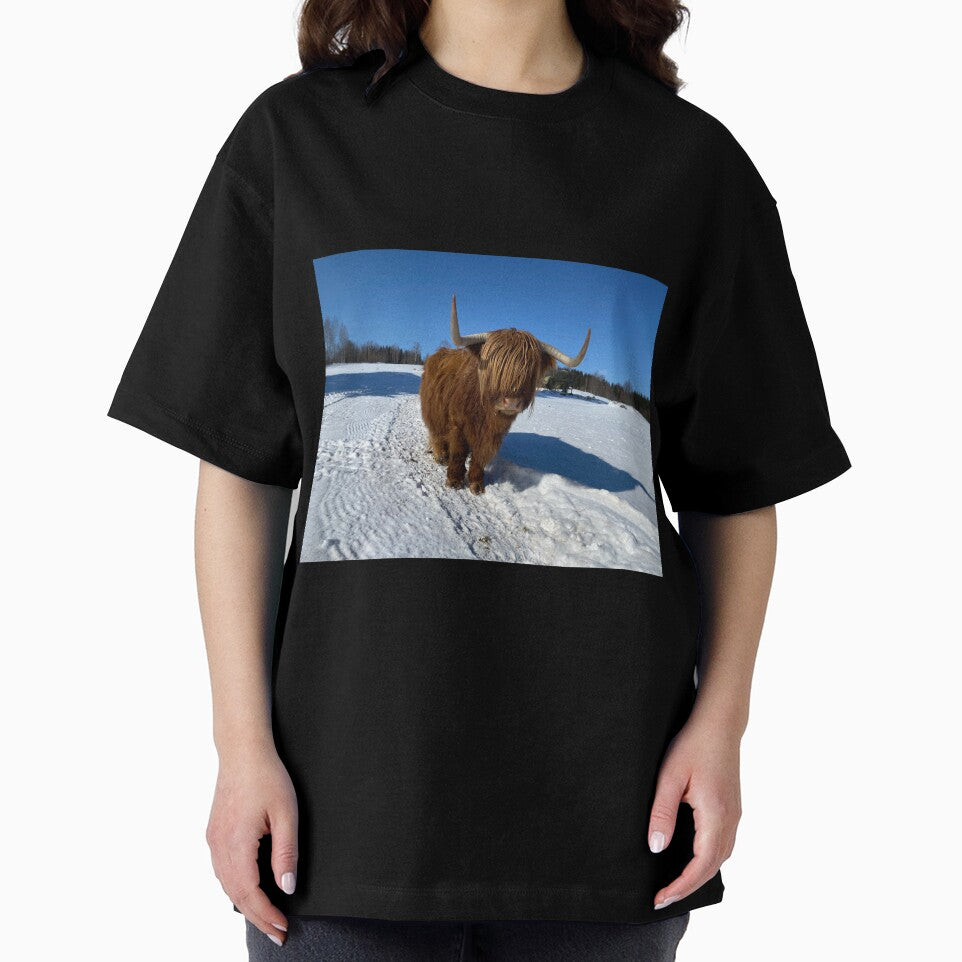 Scottish Highland Cattle Cow 3268 by SaarelaHighland