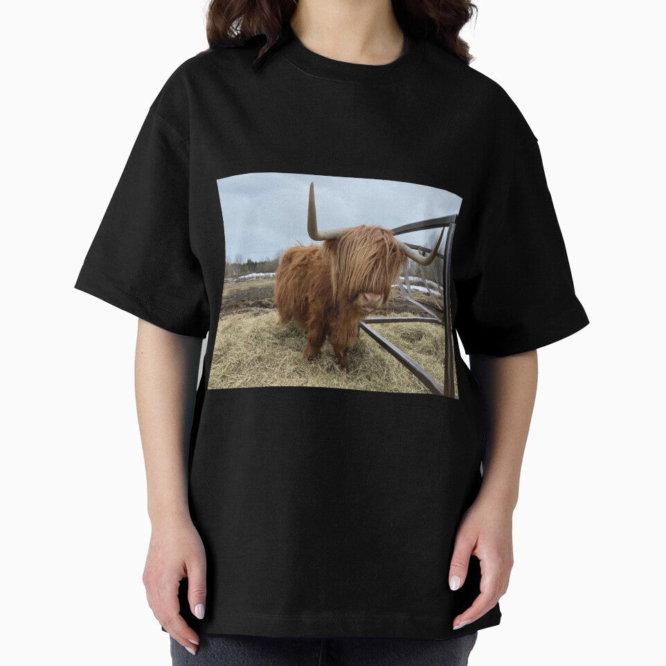 Scottish Highland Cattle Cow 3321 by SaarelaHighland