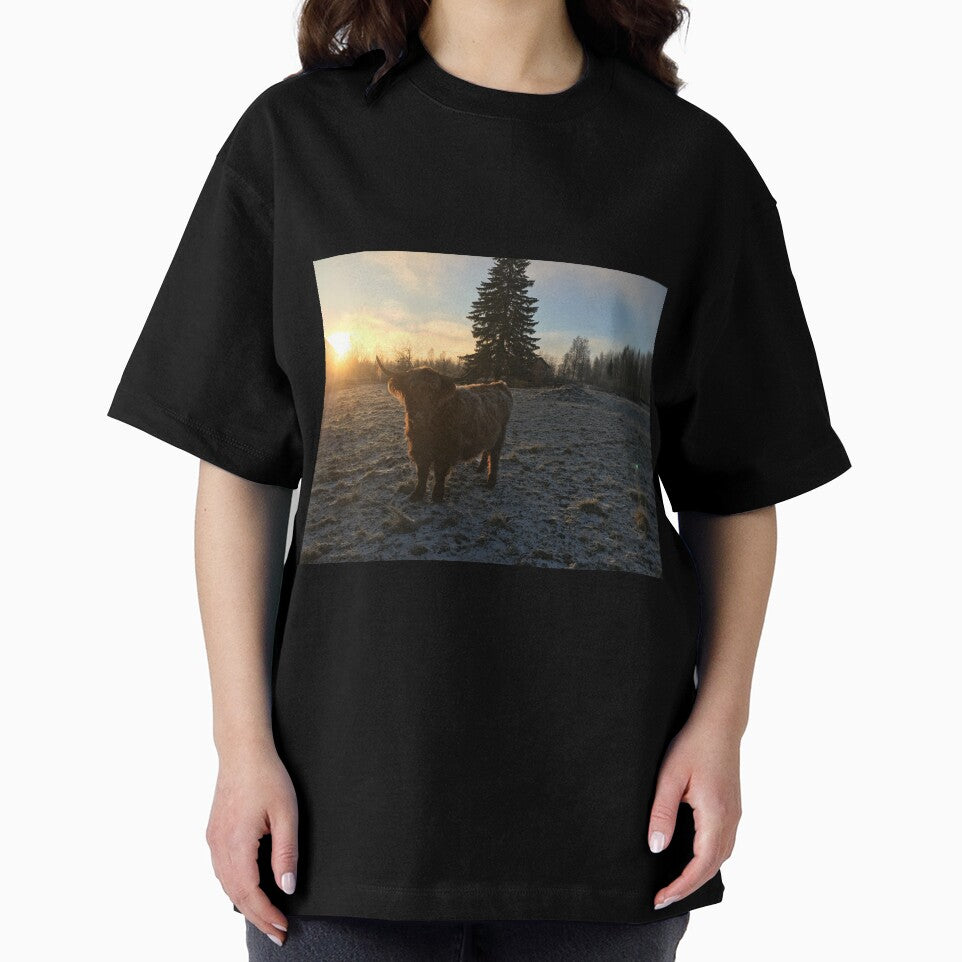 Scottish Highland Cattle Cow 1013 by SaarelaHighland