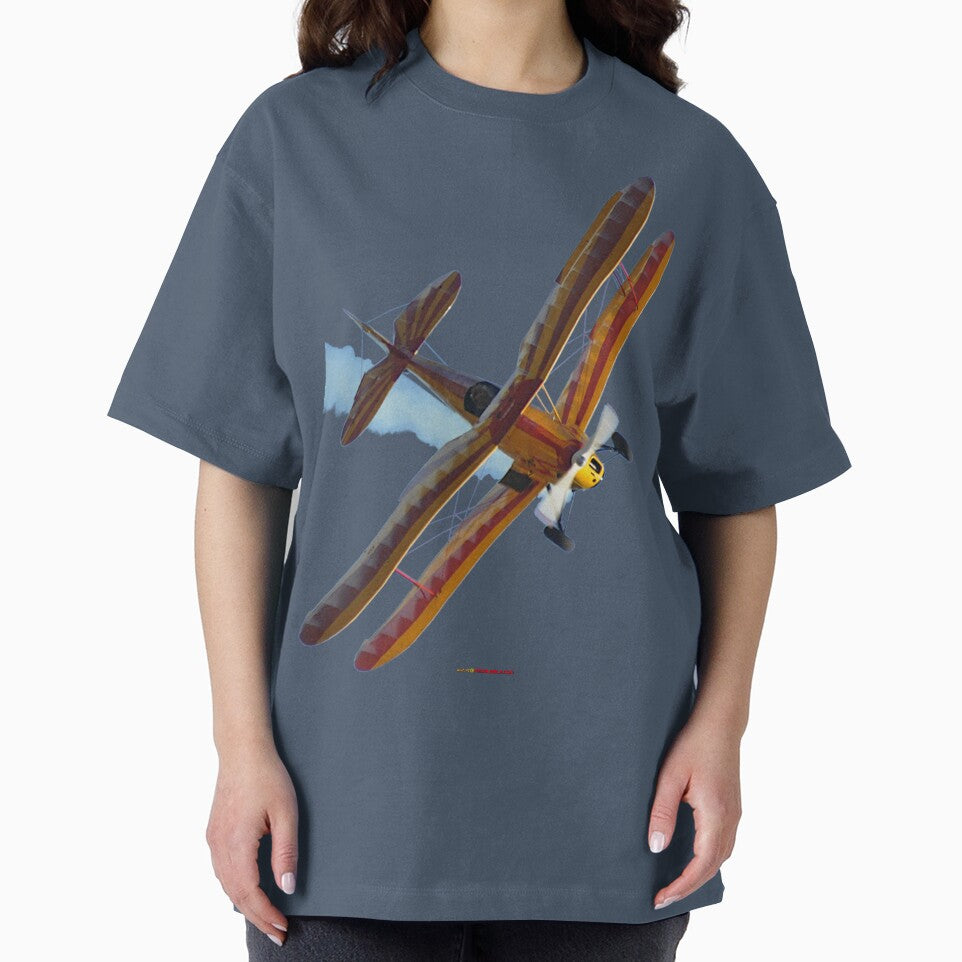 Plane & Simple - Stampe SV4 VH-WEF by muz2142