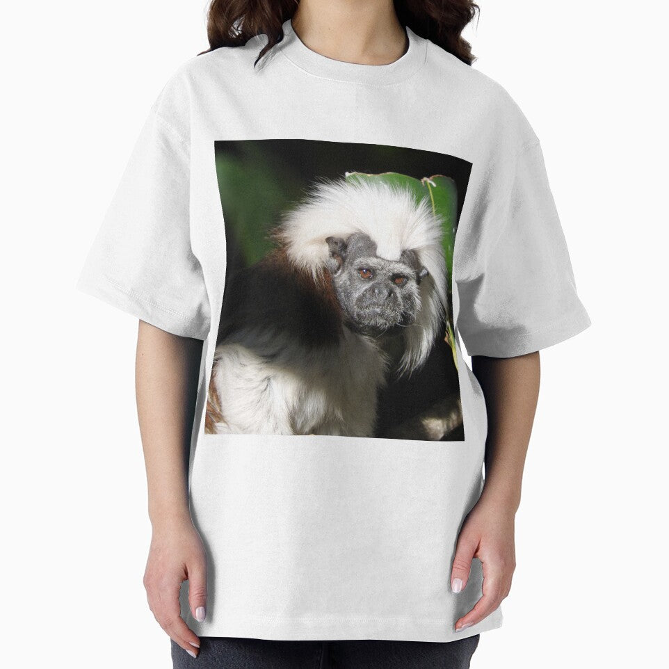 Cotton-top Tamarin by kirstybush
