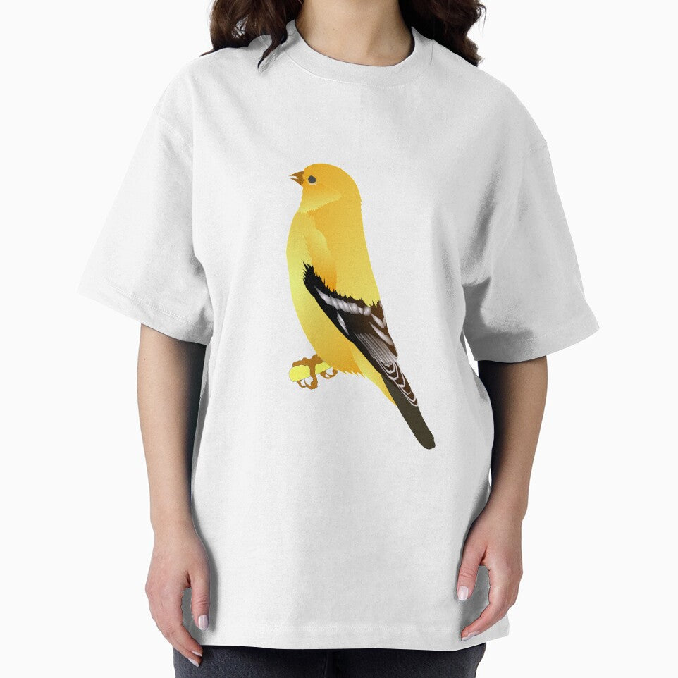 Goldfinch Bird by Discofunkster