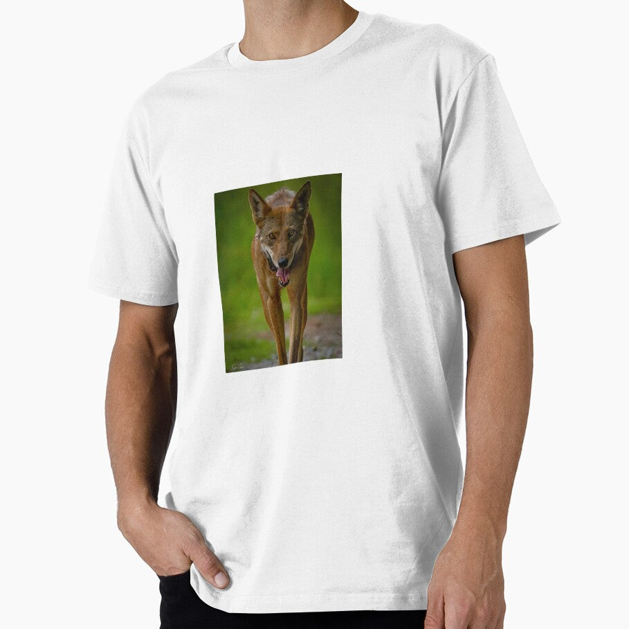 Endangered Red Wolf Approaching by Shannon Emmel