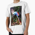A closeup of a Cassowary feeding by Melville.Collective