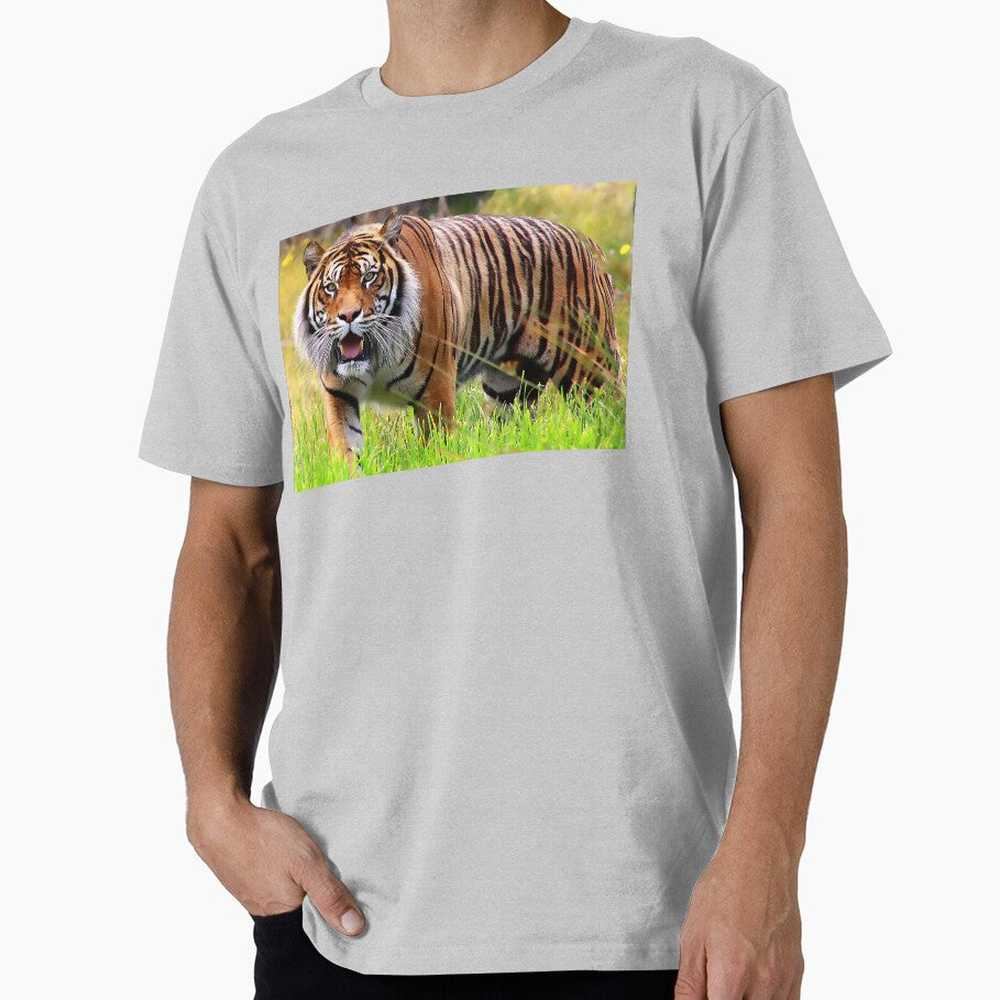 Sumatran Tiger (2) by Phil Le Cren
