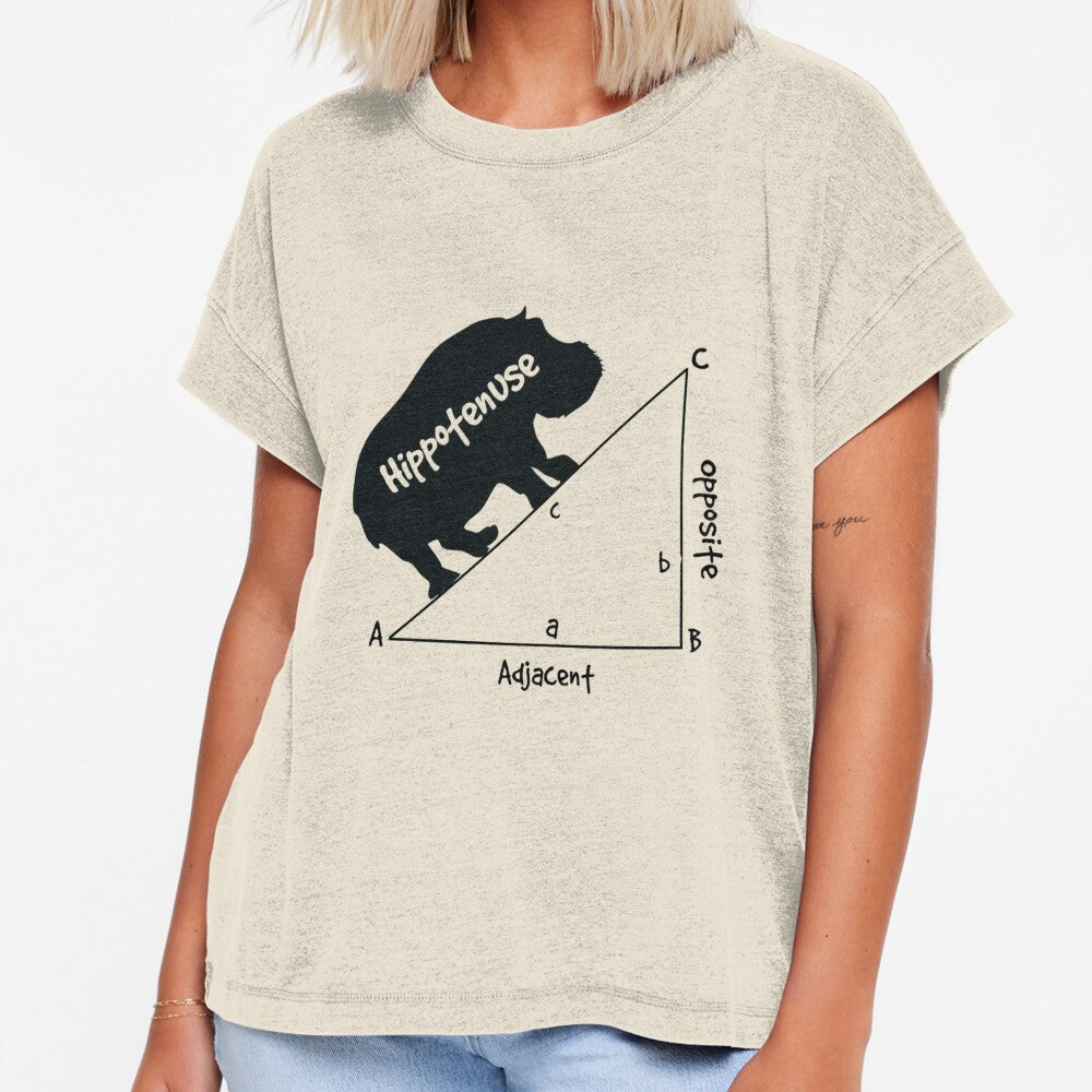 Funny Math Humor Hippotenuse Hypotenuse Funny math by shop43