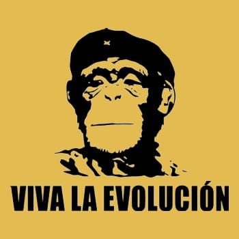 Viva La Evolucion Hoodie