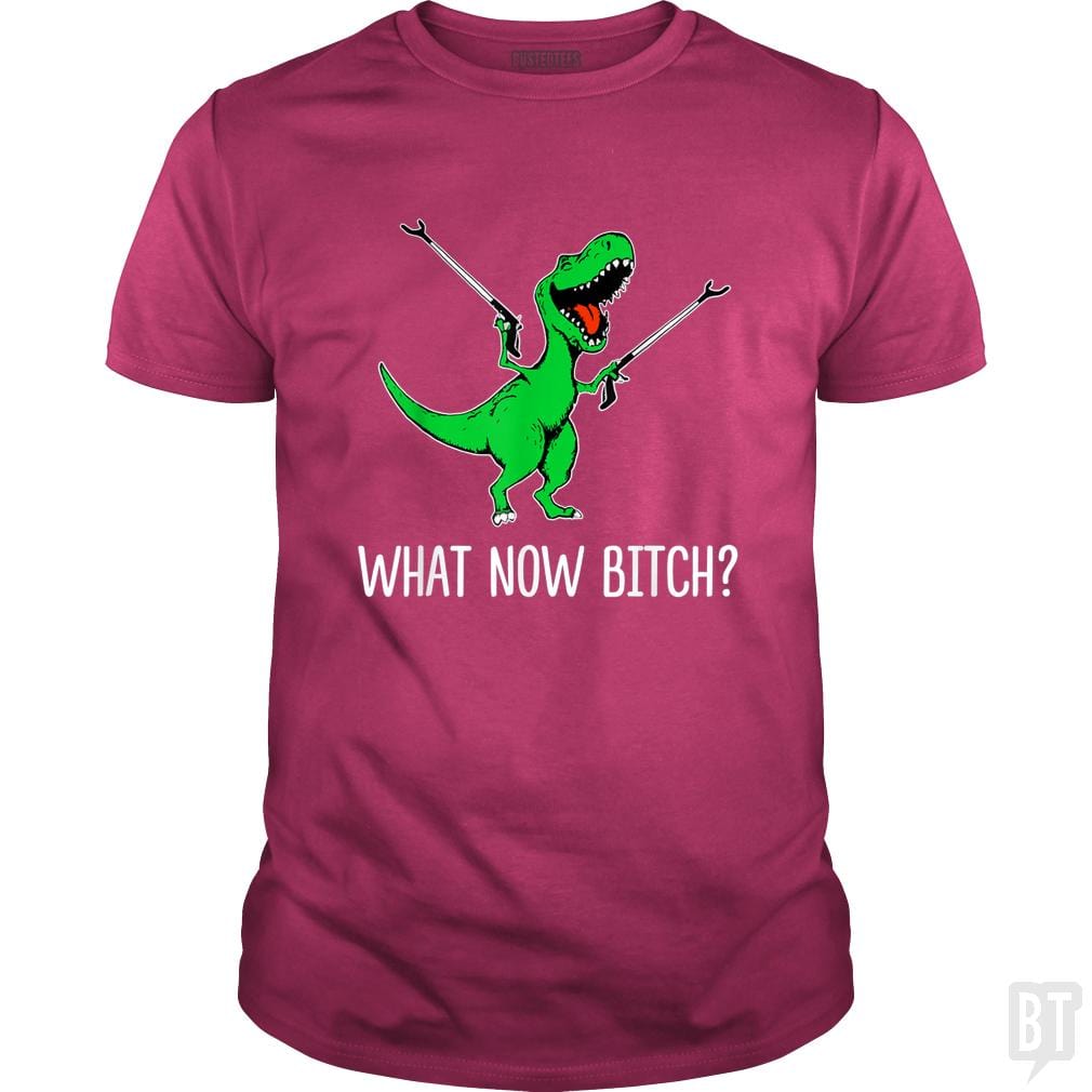 What Now Bitch T-Rex