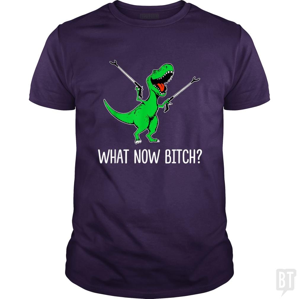 What Now Bitch T-Rex