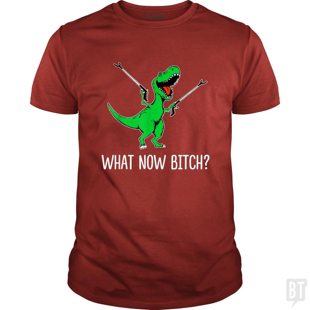 What Now Bitch T-Rex