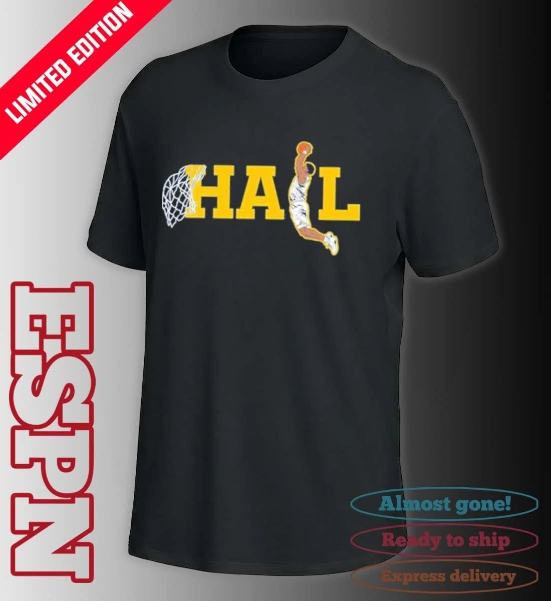 Michigan Wolverines Men’s Basketball 2026 National Champions Hail Dunk T-Shirt